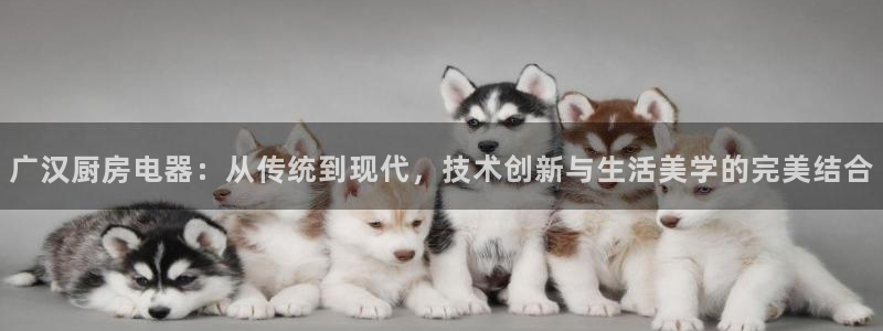 尊龙凯时官方下载