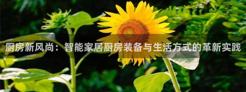 尊龙凯时 - 人生就是搏!提款怎么样