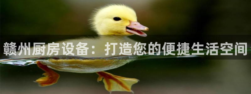 尊龙app|首选agdaohang