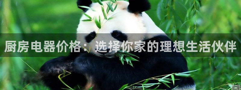 尊龙凯时取款有要求吗