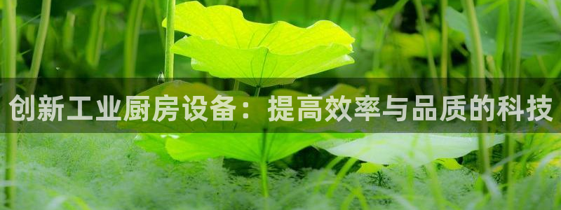 凯时k88最新