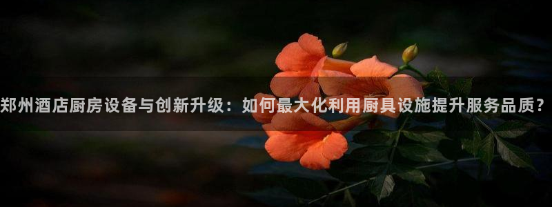凯时网址多少