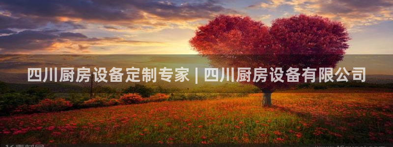 尊龙实业有限公司属于国企吗：四川厨房设备定制专家 | 四川厨
