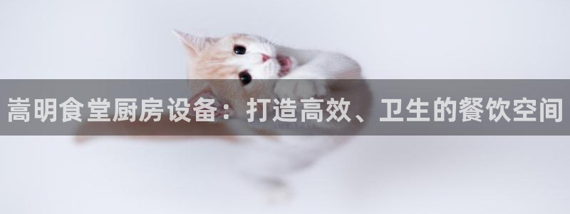 尊龙登录地址：嵩明食堂厨