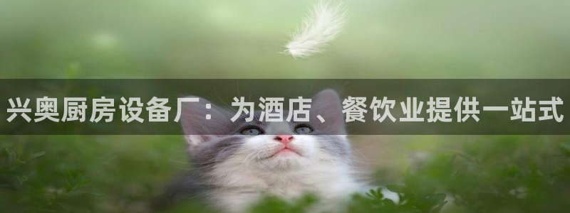 尊龙凯时的企业文化：兴奥厨房设备厂：为酒店、餐饮业提供一站式