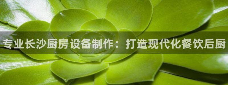 尊龙凯时人生就是博·(中