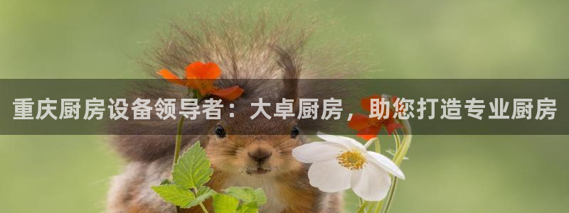 ag尊龙怎么样