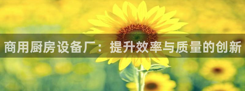 尊龙凯时口碑好吗