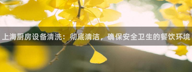 尊龙凯时网站赌愽做假吗：上海厨房设备清洗：彻底清洁，确保安全