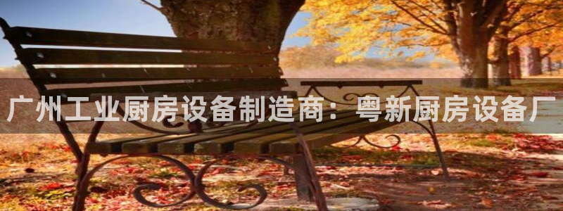 尊龙凯时贴吧：广州工业厨房设备制造商：粤