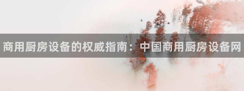 凯时kb88·中国官方网