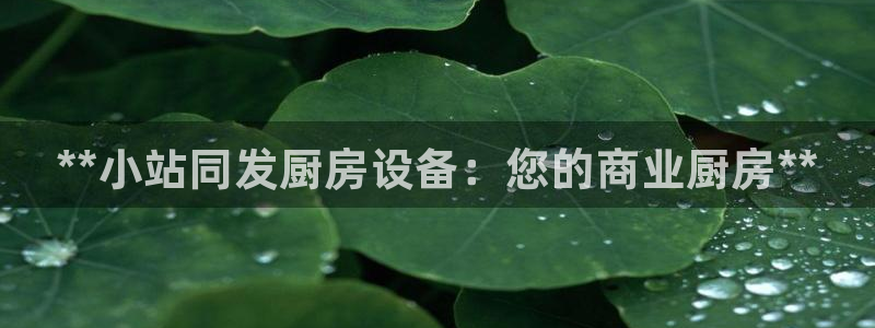 尊龙最经典的三个角色：*