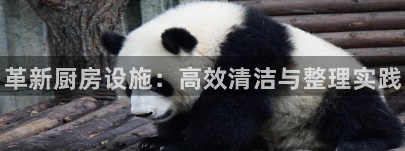 凯时尊龙官网网址