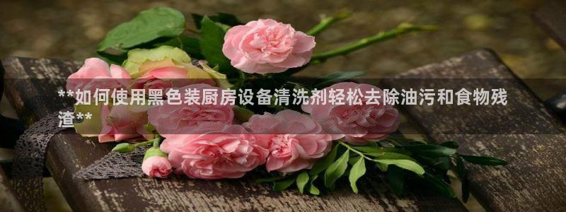 d88尊龙凯时：**如何使用黑色装厨房设备清洗剂轻松去除油污