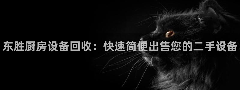 尊龙凯时取款有要求吗：东胜厨房设备回收：快速简便出售您的二手